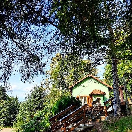 Villa Gite L'Envol Belval  Exterior foto